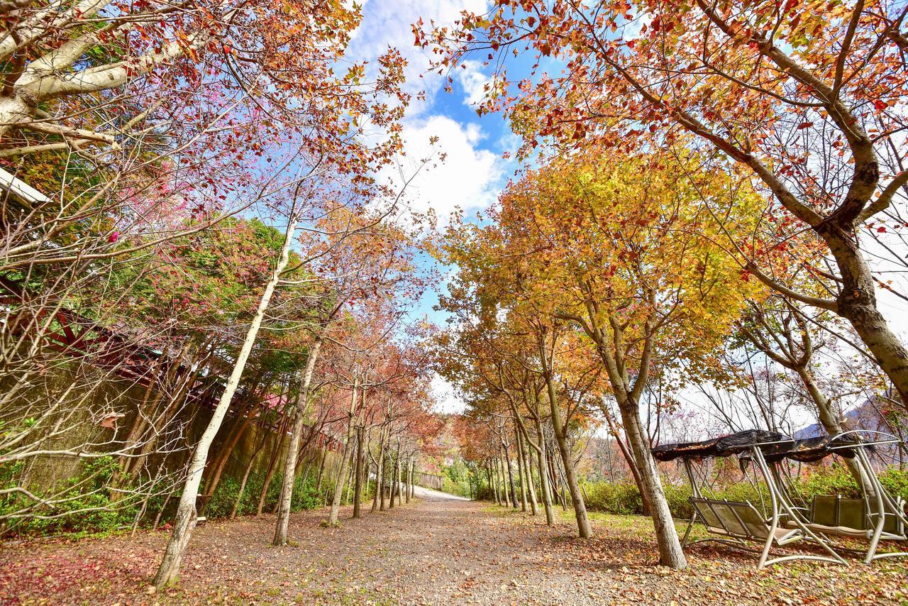 Beverly B&B Renai Dış mekan fotoğraf