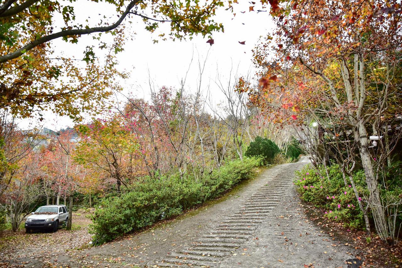 Beverly B&B Renai Dış mekan fotoğraf