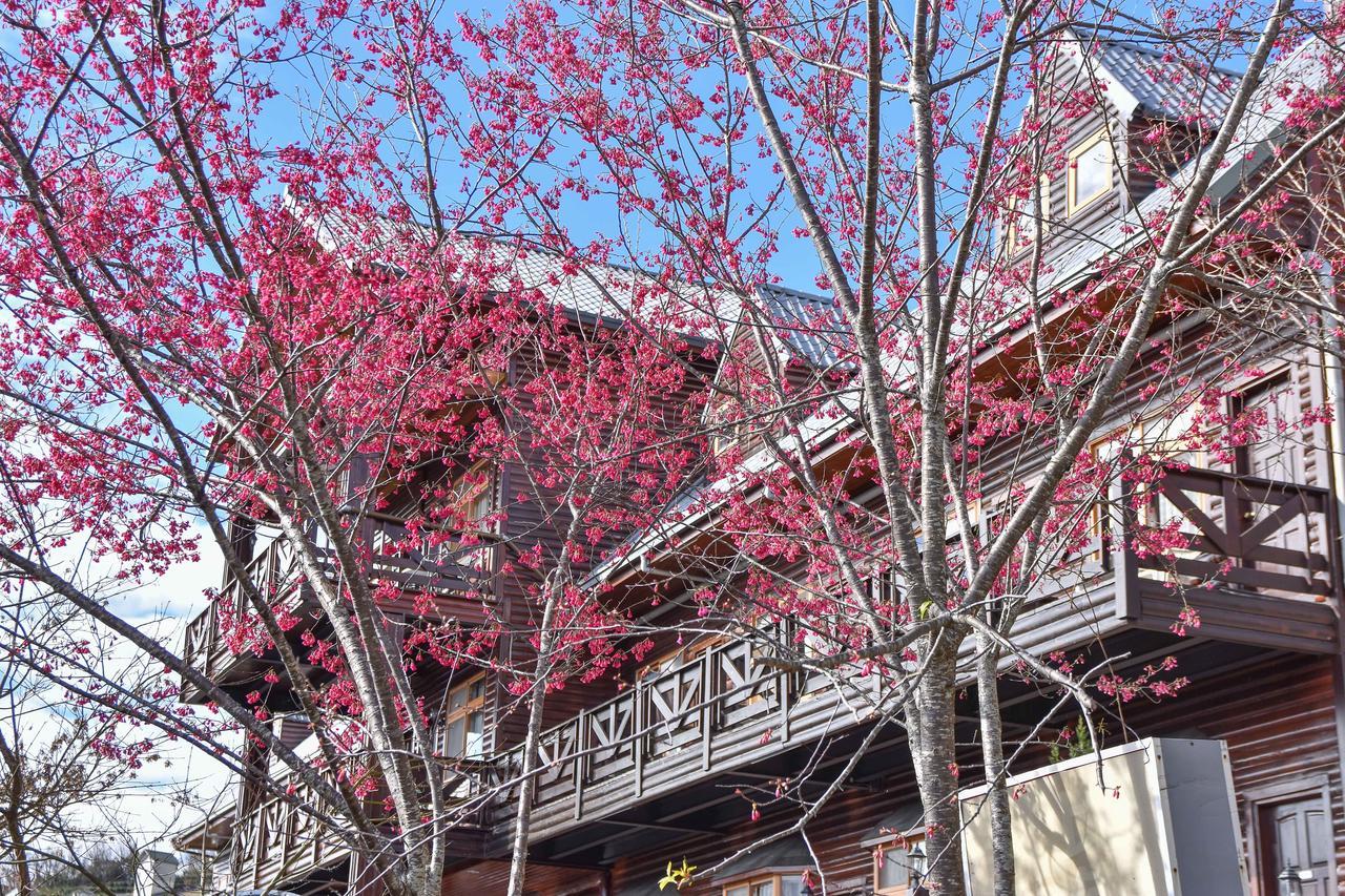 Beverly B&B Renai Dış mekan fotoğraf
