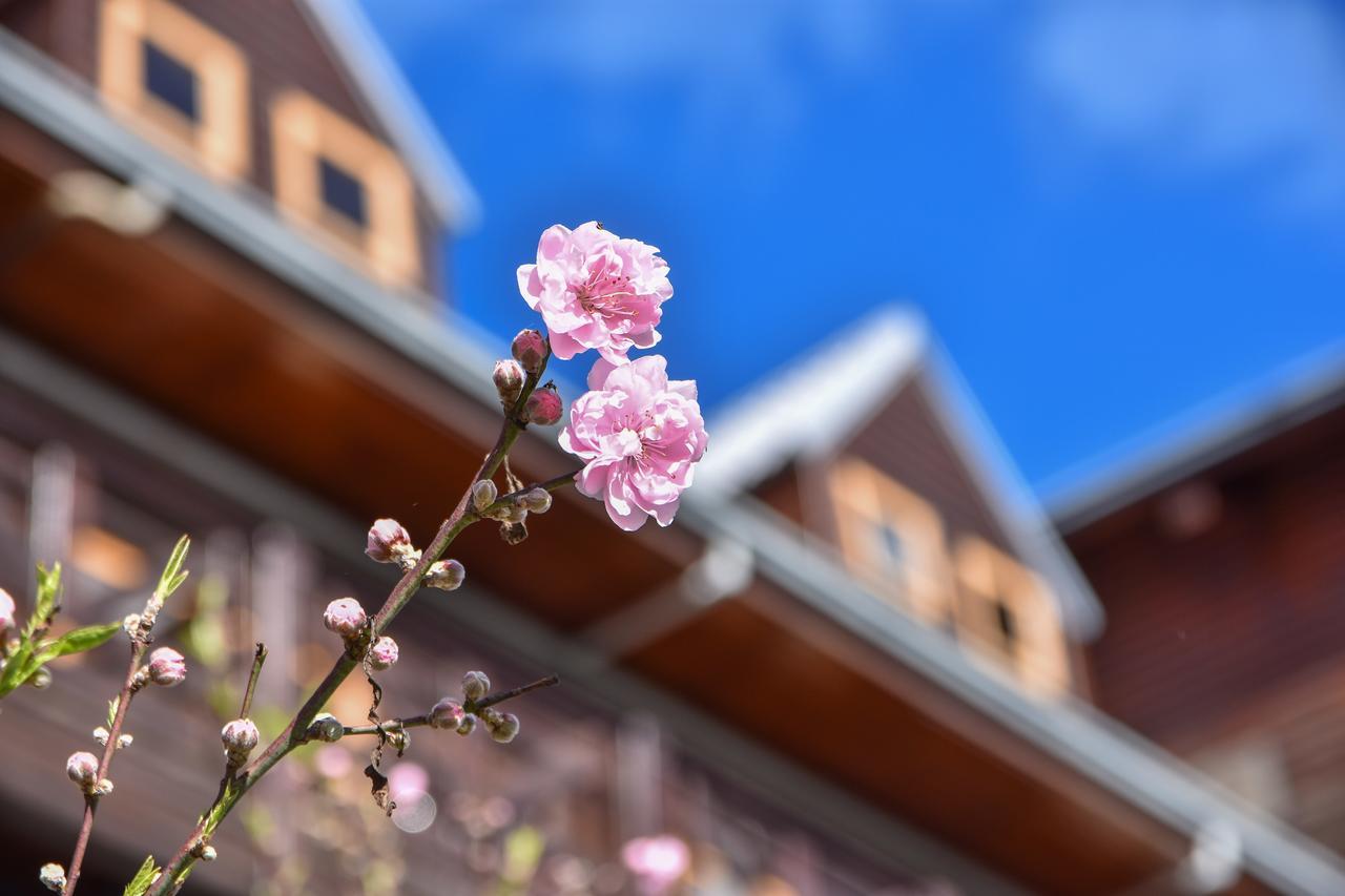 Beverly B&B Renai Dış mekan fotoğraf